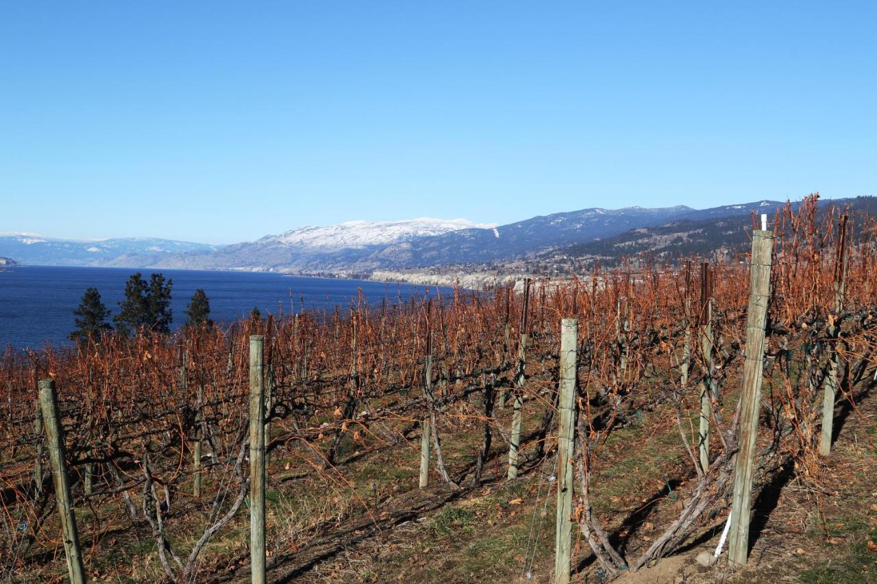 Sunshine And Wine Loft Hotel Penticton Kültér fotó